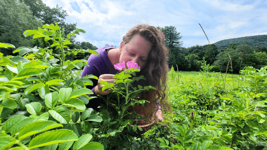 Heather Plant herbalist and stress management coach smelling Rosa regosa