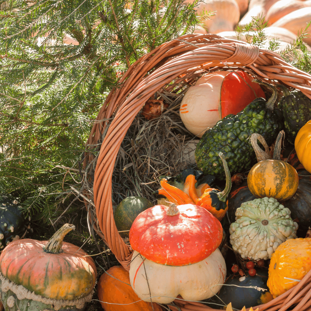 Mabon Witches Thanksgiving cornucopia