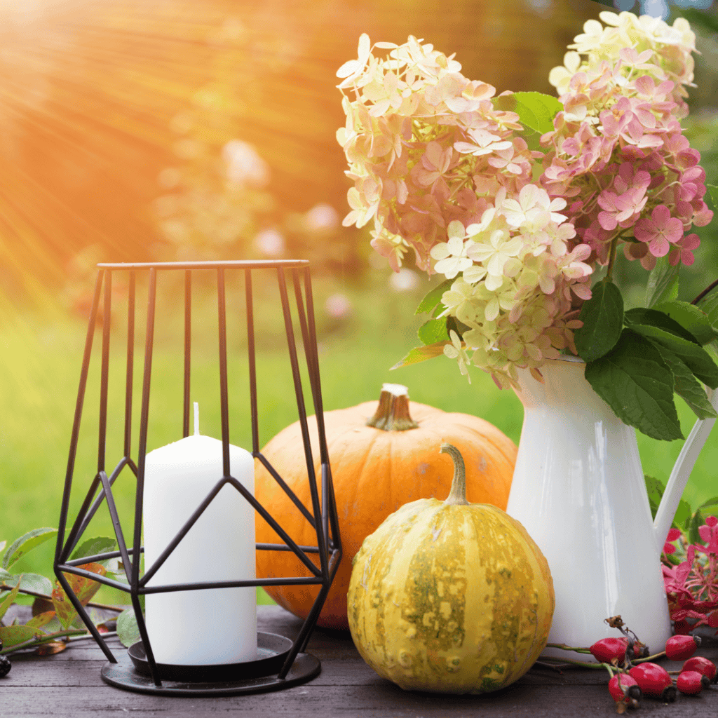 Mabon beauty of a bountiful harvest with gratitude