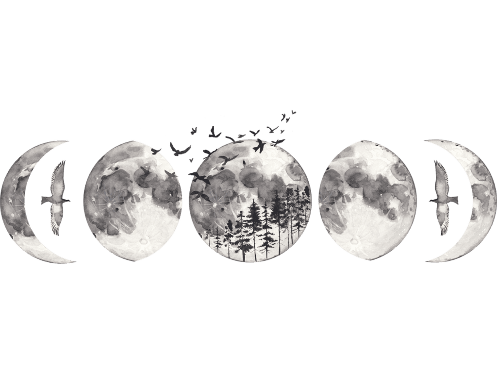 Moon phases