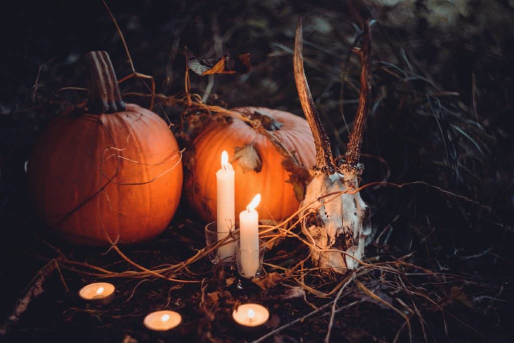 Ancestor altar to honor ancestors on Samhain during thinning of the veil with pumpkins and candles and a cow head.