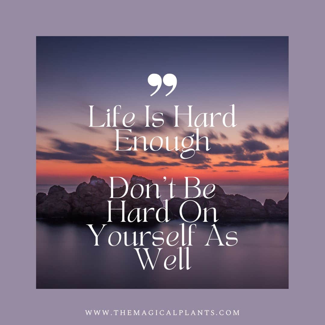 Quote Life Is Hard Enough Don't Be Hard On Yourself As Well