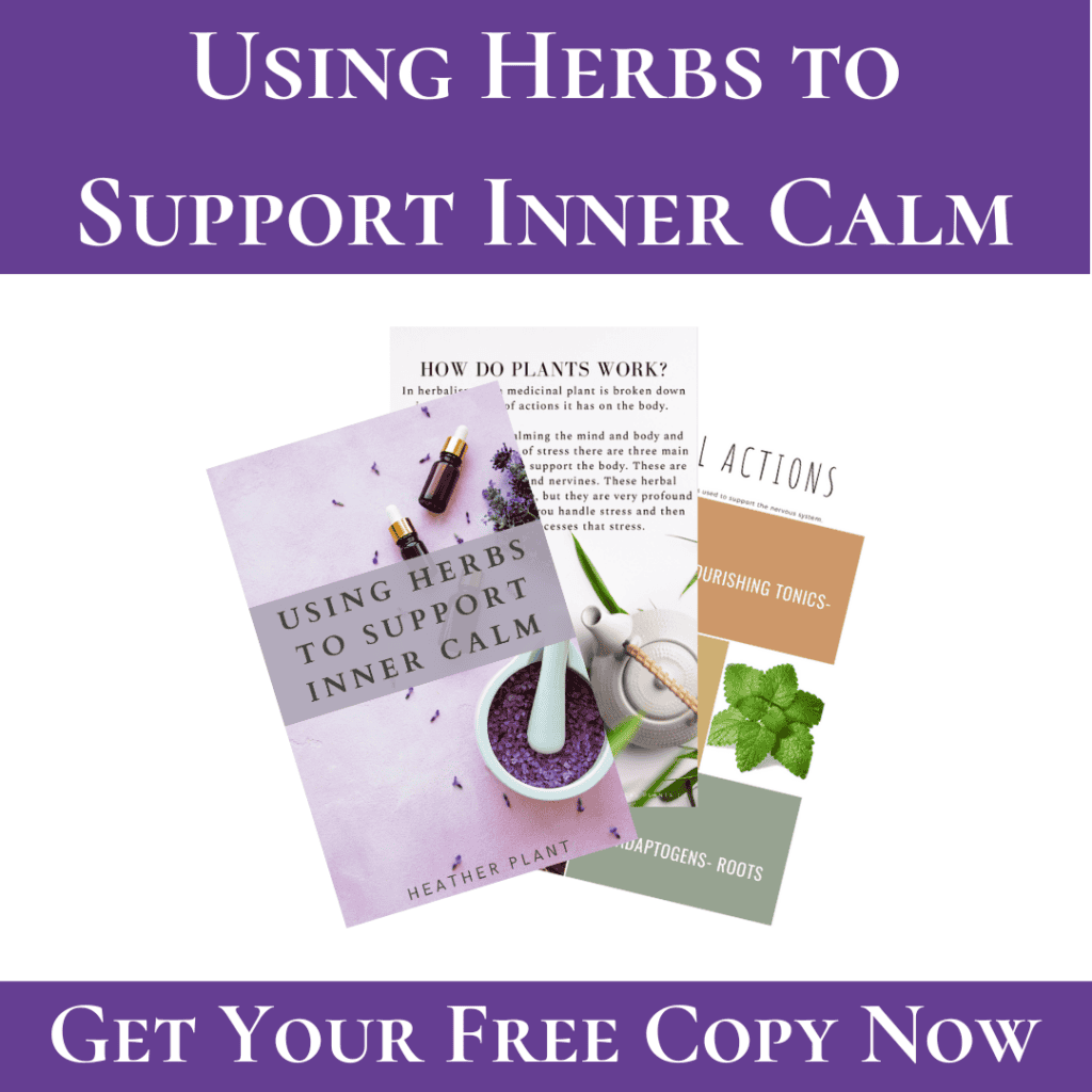 Using herbs to support inner calm mockup for the guide.