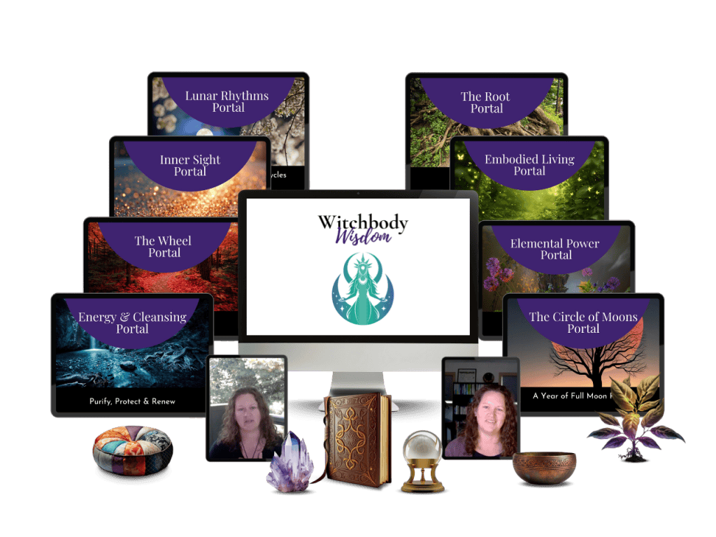 Witchbody Wisdom Modules t