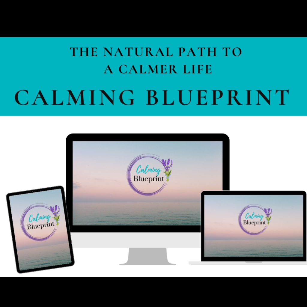 Calming Blueprint Square Mockup (1)