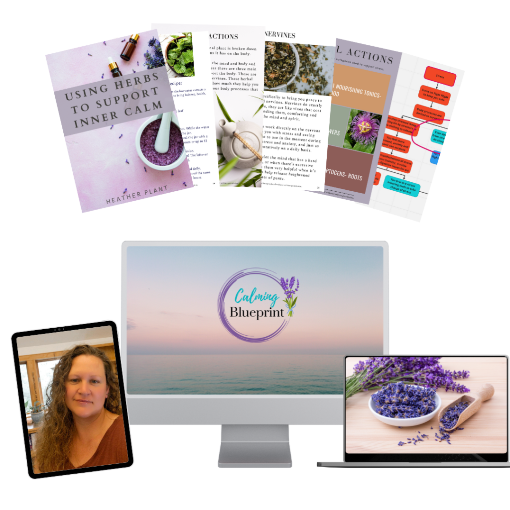 Calming Blueprint course