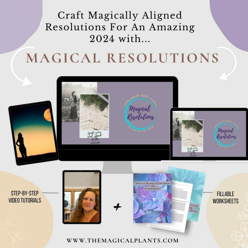 Magical Resolutions course for settings goals and New Year resoltutions that work mockup image