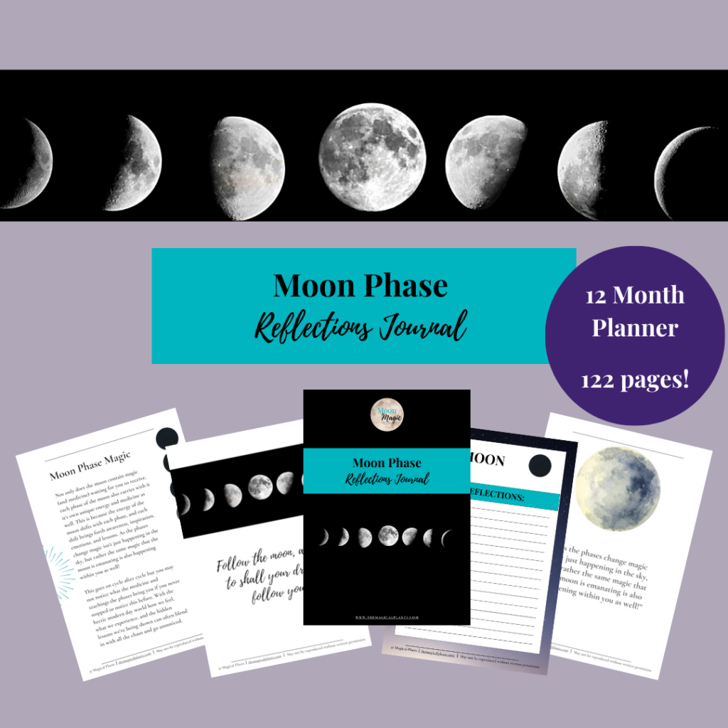 Moon Phase Reflections Journal