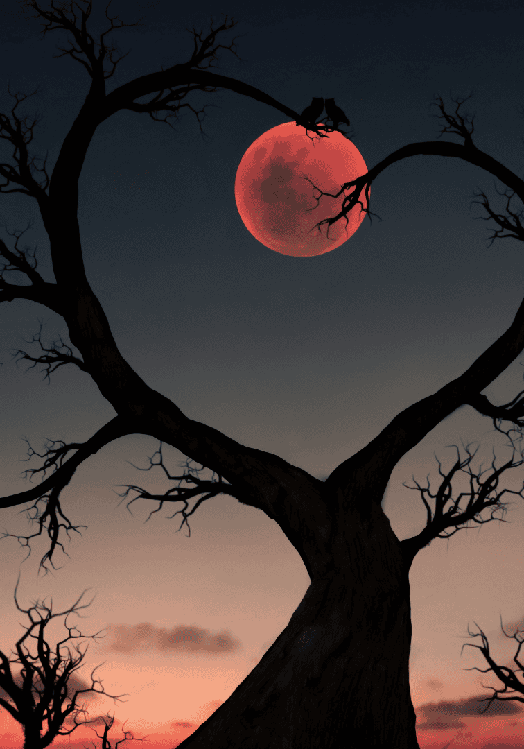 Tree With Full Moon