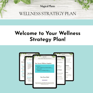 Mockup of Wellness Strategy Plan consultations.